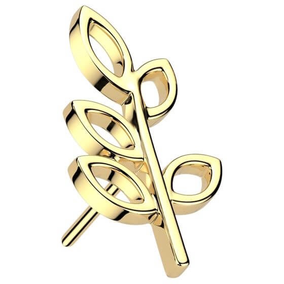 Solid Gold 14 Carat top Olive Leaf Push-In