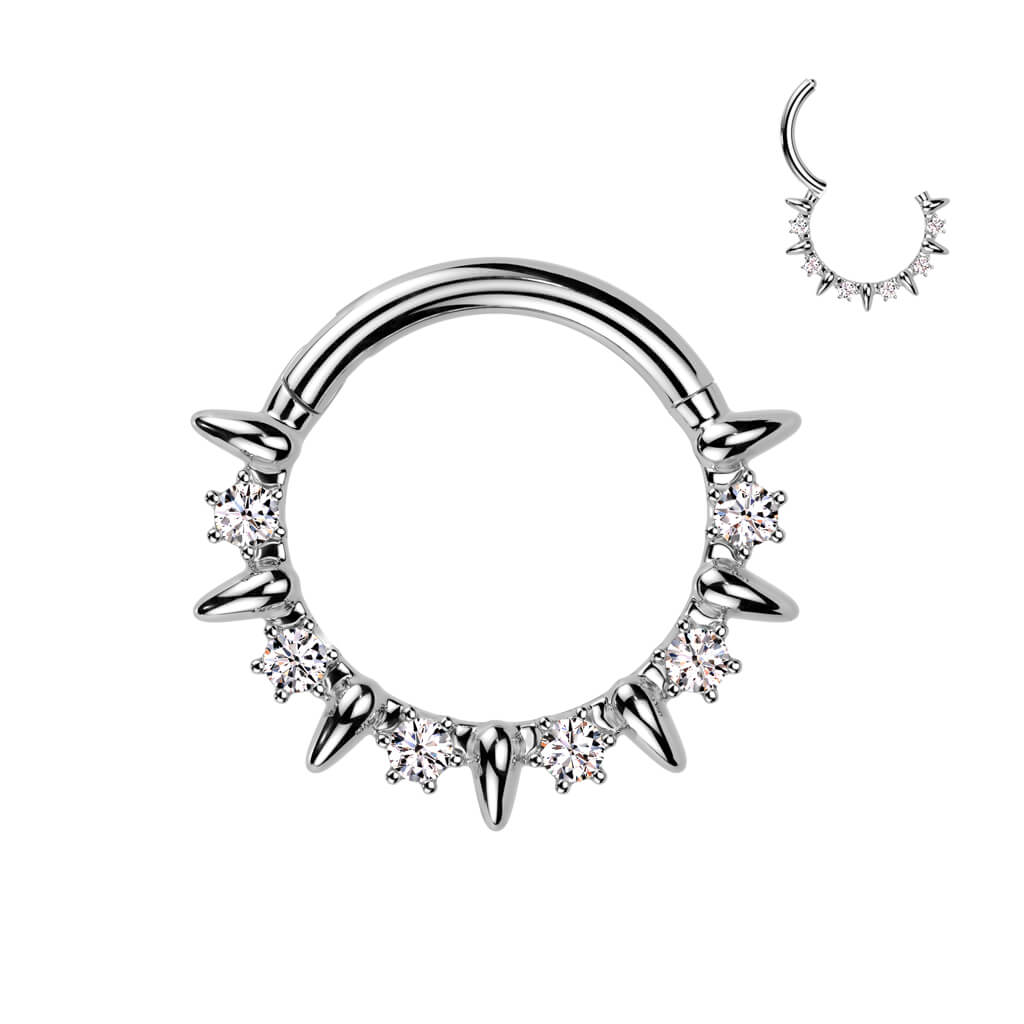 Ring zirconias Segment