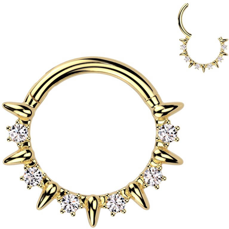 Ring zirconias Segment
