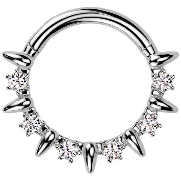 Ring zirconias Segment