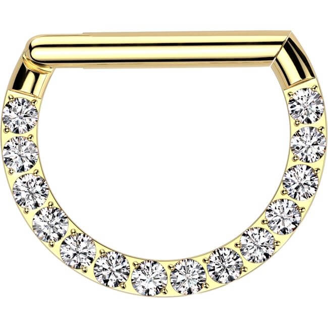 Titan Ring Zirkonia Segment
