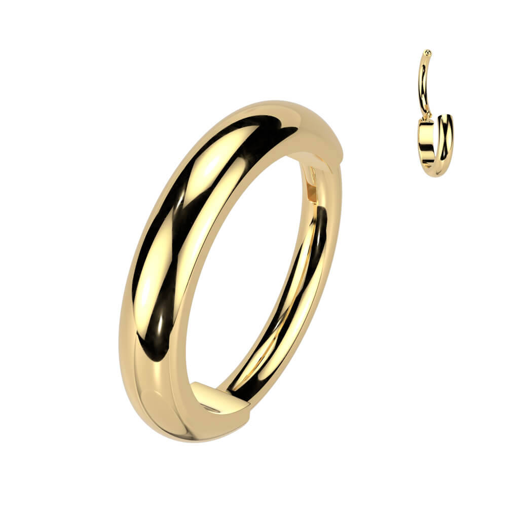 Titanium Ring 2mm wide dome surface Segment