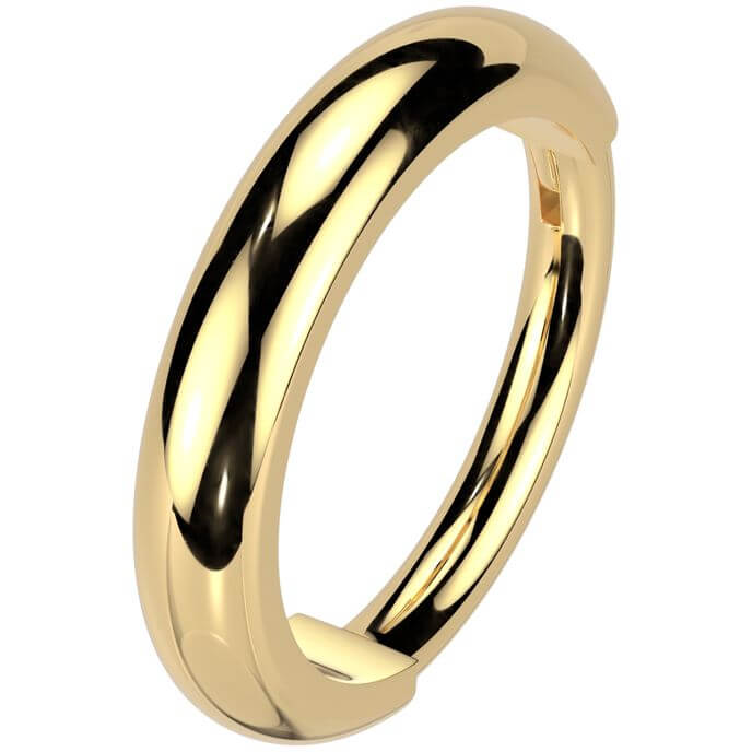 Titanium Ring 2mm wide dome surface Segment