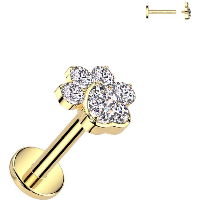 Titanium Labret paw zirconia Internally Threaded