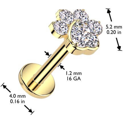 Titanium Labret paw zirconia Internally Threaded