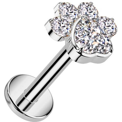Titanium Labret paw zirconia Internally Threaded