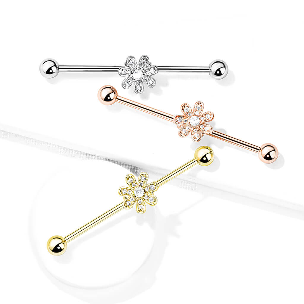 Industrial Barbell Blume Zirkonia