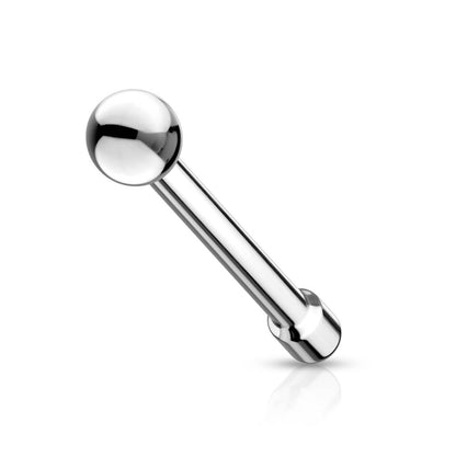 Nariz Stud Pincho, Hemisferio Plata