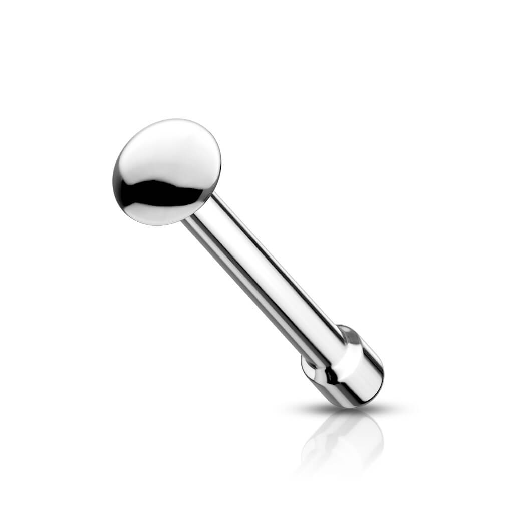 Nariz Stud Pincho, Hemisferio Plata