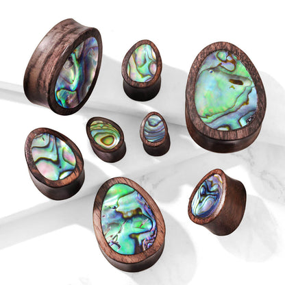 Plug Drop Abalone Sono Wood