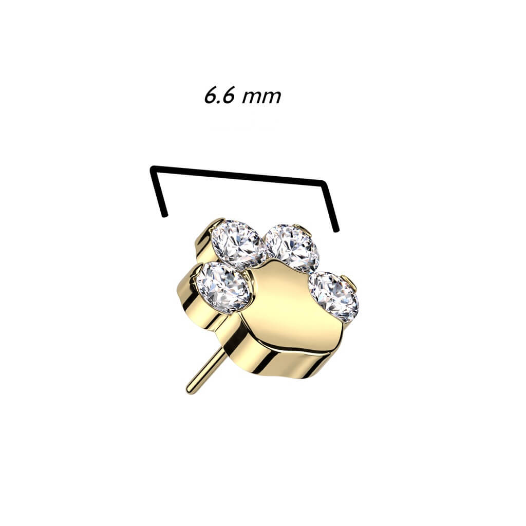 Titane Embout Embout Patte Zircone Enfoncer