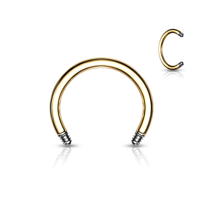 horseshoe pin