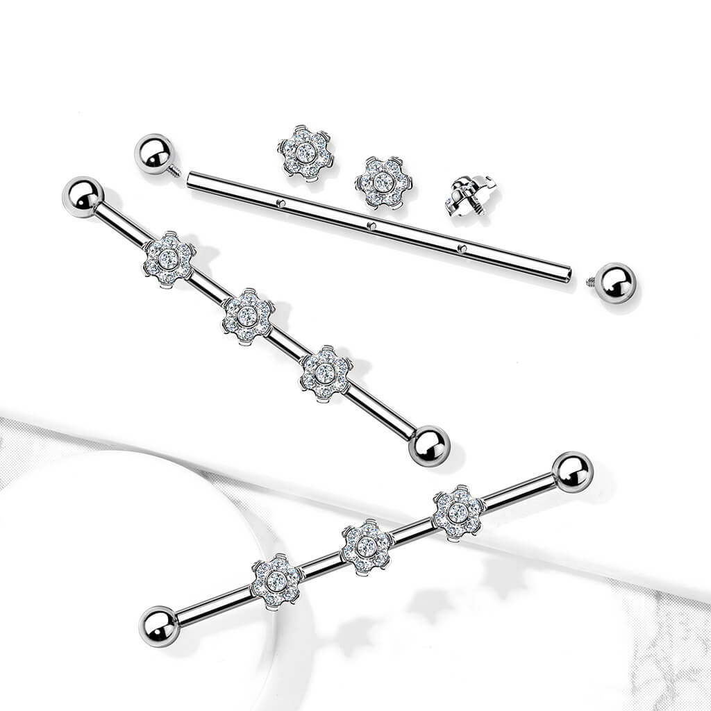 Titan Industrial Barbell 3 Blumen Aufsätze Zirkonia Innengewinde