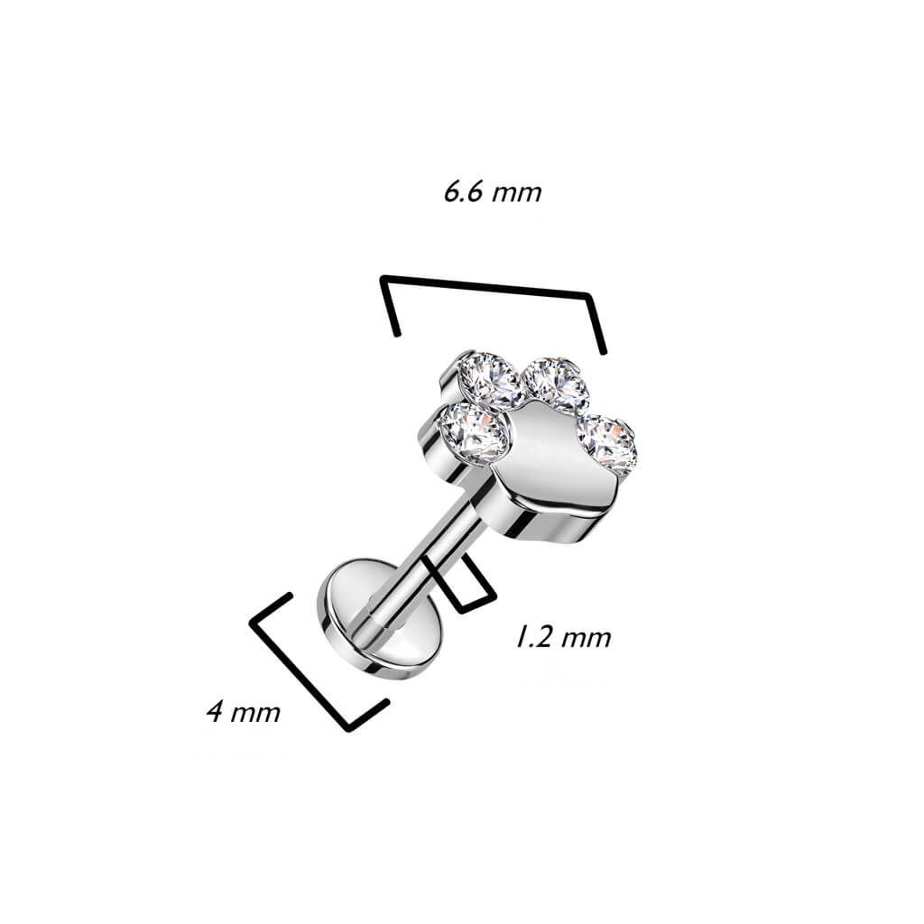 Titan Labret Pfote Zirkonia Innengewinde