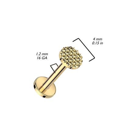 Titanio Círculo Rosca interna Labret